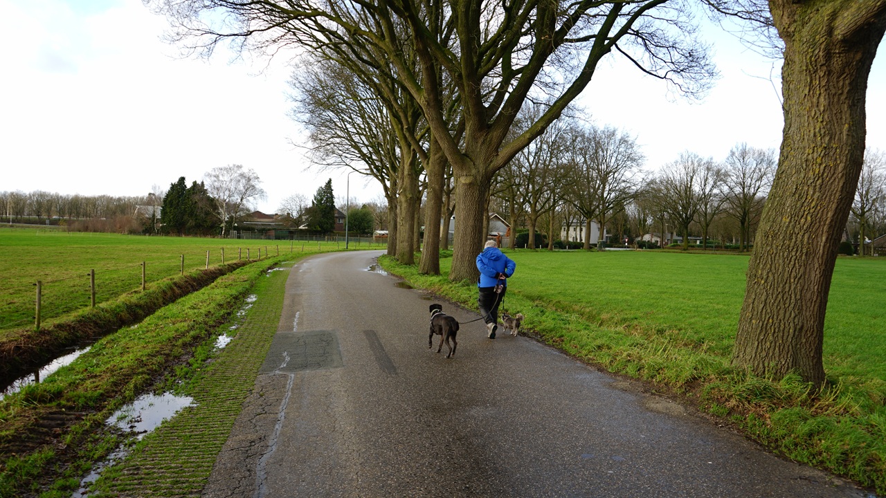 Het is deze week over het algemeen grijs en bewolkt. Foto: Toon Boons
