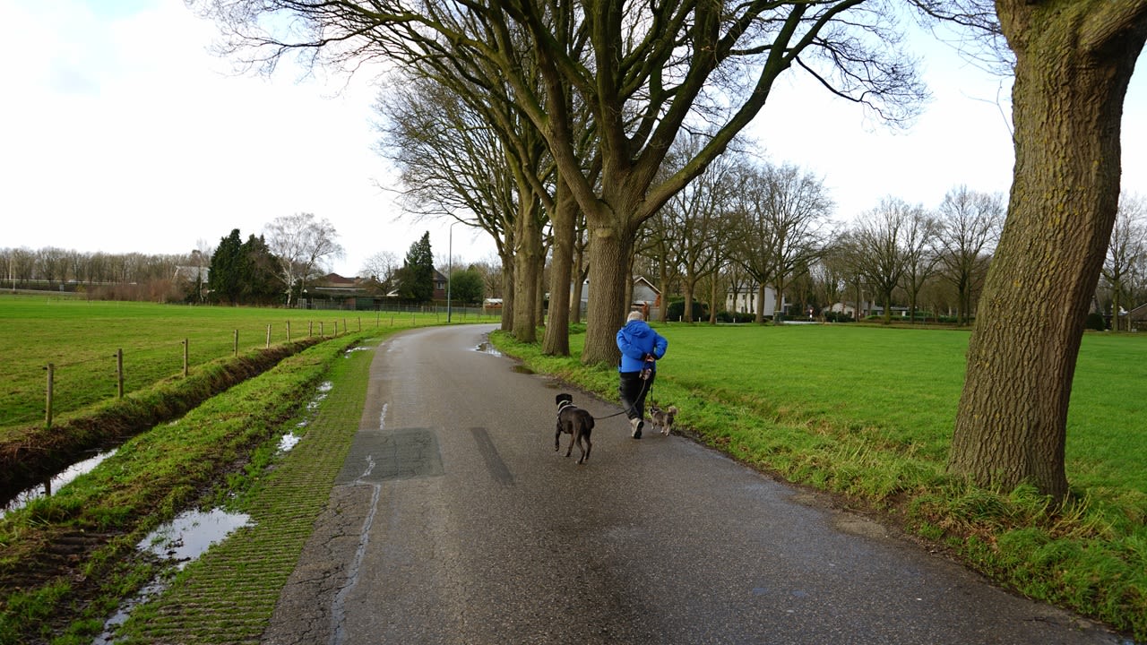 Het is deze week over het algemeen grijs en bewolkt. Foto: Toon Boons