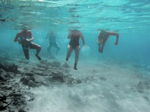 Caribische eilanden: 8 tips voor een vakantie op de ABC-eilanden en omgeving