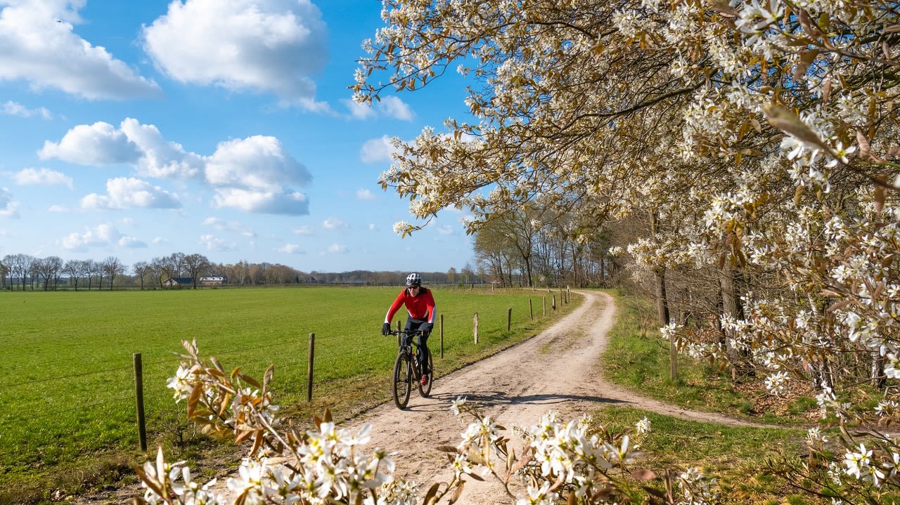 Fietser in de lente. Foto: Jos Hebben