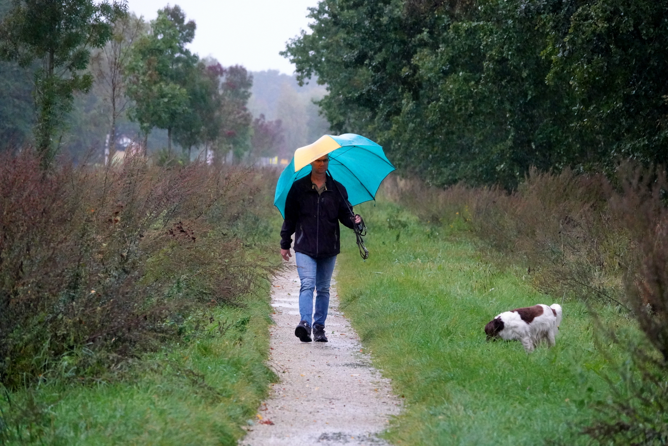 Maandverwachting: wordt oktober een echte herfstmaand?