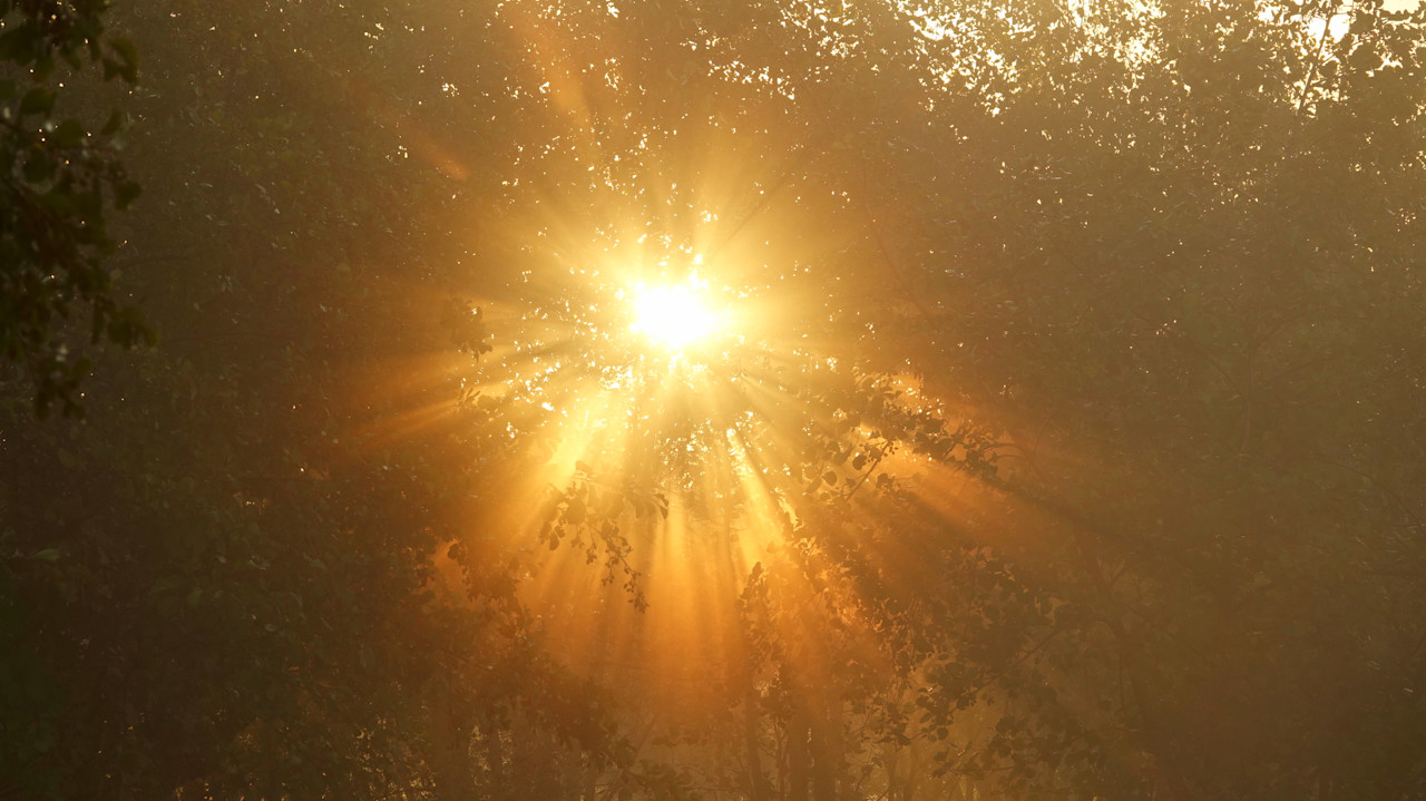 Nu al meer zon in 2026 dan gebruikelijk in een heel jaar