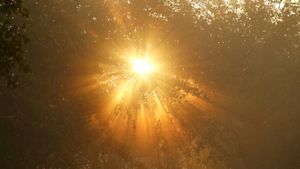 Nu al meer zon in 2026 dan gebruikelijk in een heel jaar