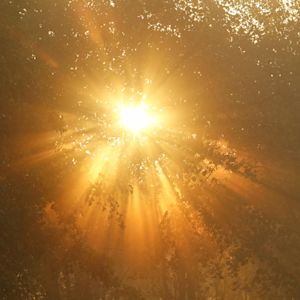 Nu al meer zon in 2026 dan gebruikelijk in een heel jaar