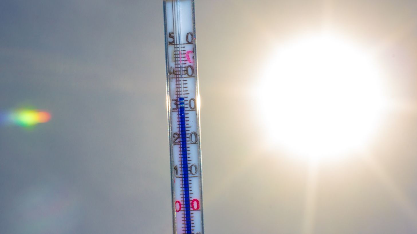 De eerste helft van de zomer verliep zeer warm met veel zonuren. Foto: Ab Donker