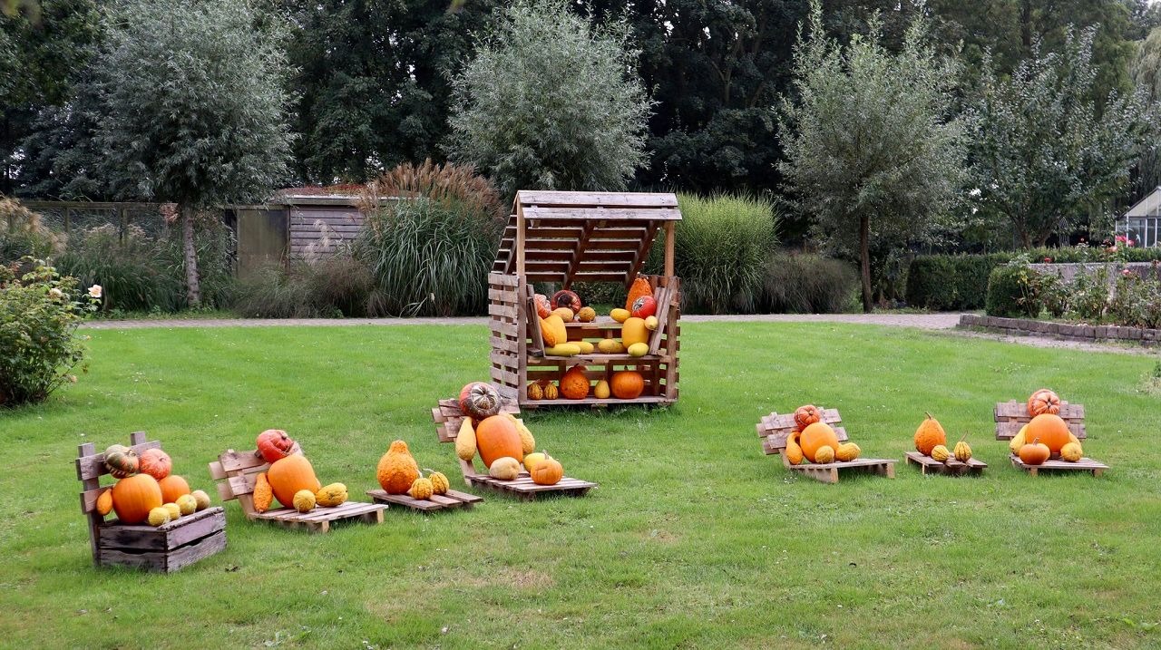 Pompoenentijd, lekkerste gerechten in de herfst. Foto: Jolanda Bakker.