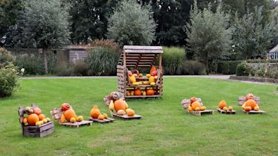 Dit zijn de lekkerste gerechten voor in de herfst