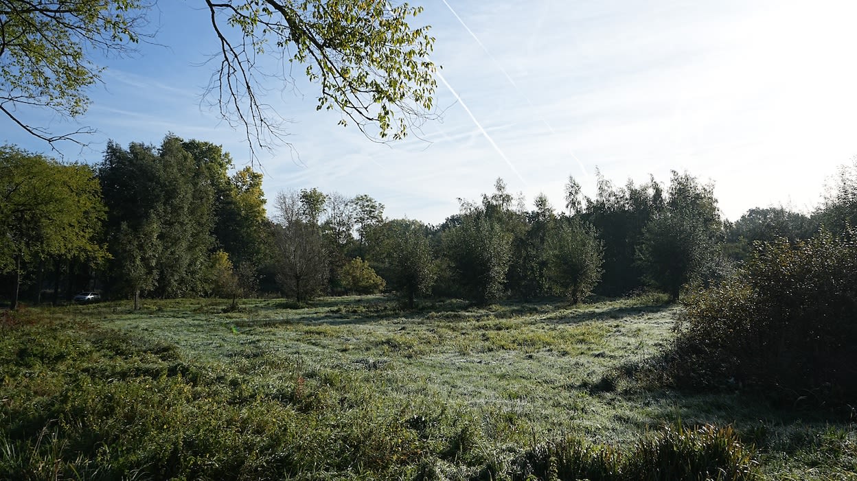 Belle journée d'automne. Photo : Toon Boons