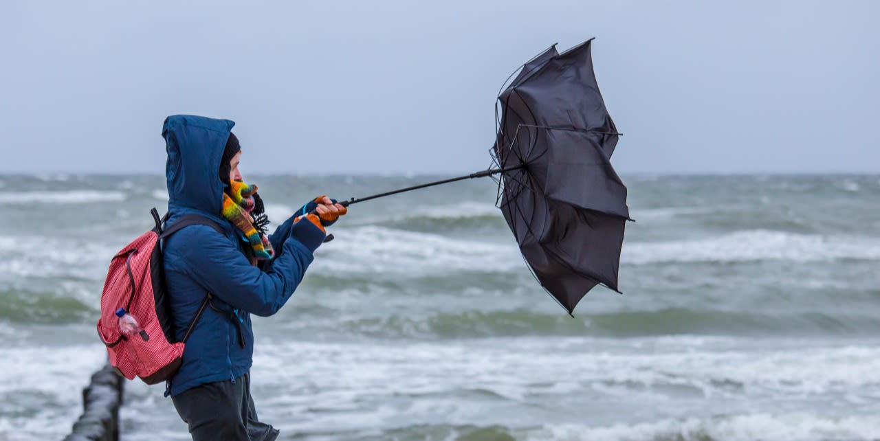 Foto: Adobe Stock / Rainer Fuhrmann