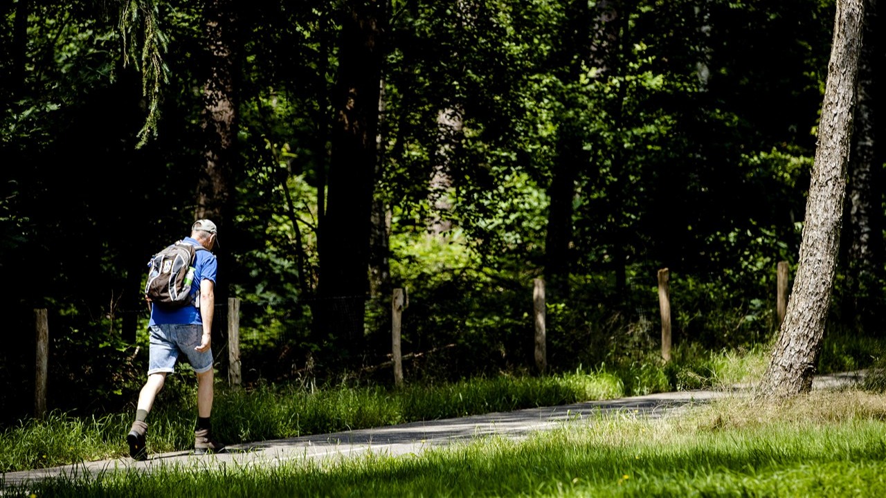 Ontdek de mooiste wandelroutes van Nederland
