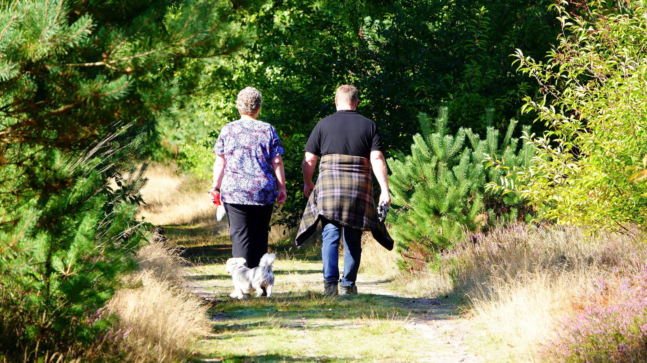 Het is vrijdag en zaterdag heerlijk wandelweer. Foto: Ben Saanen
