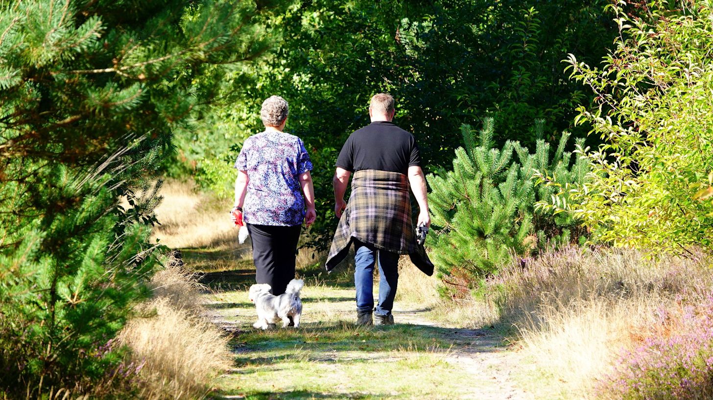 Het is vrijdag en zaterdag heerlijk wandelweer. Foto: Ben Saanen