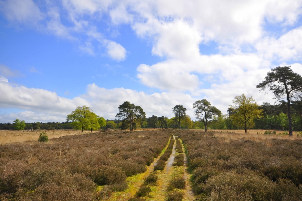 Tussen de buien door is het fraai weer voor een wandeling. Foto: Ben Saanen