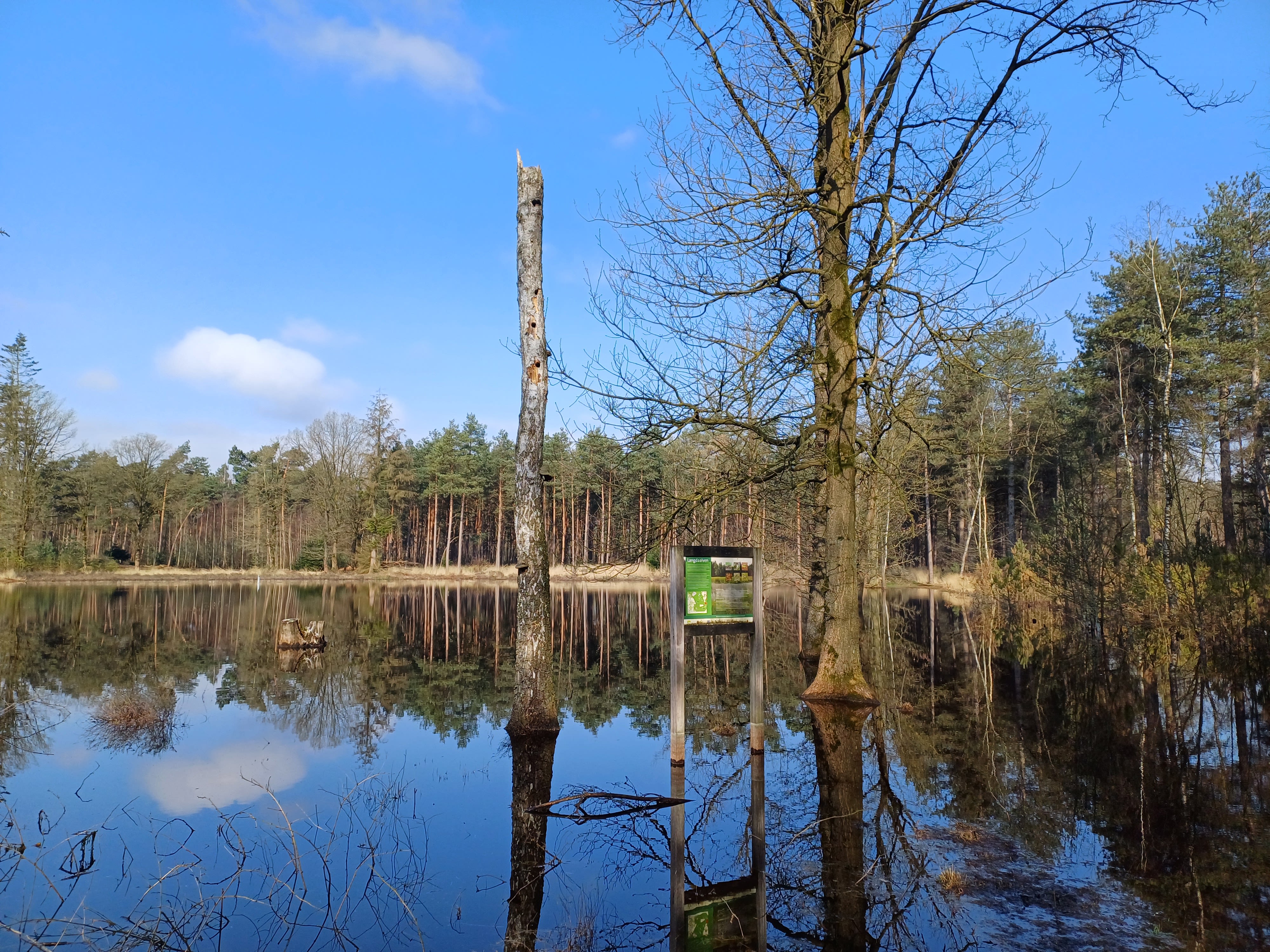 Het is heerlijk weer om naar buiten te gaan. Foto: Willem van Nunen