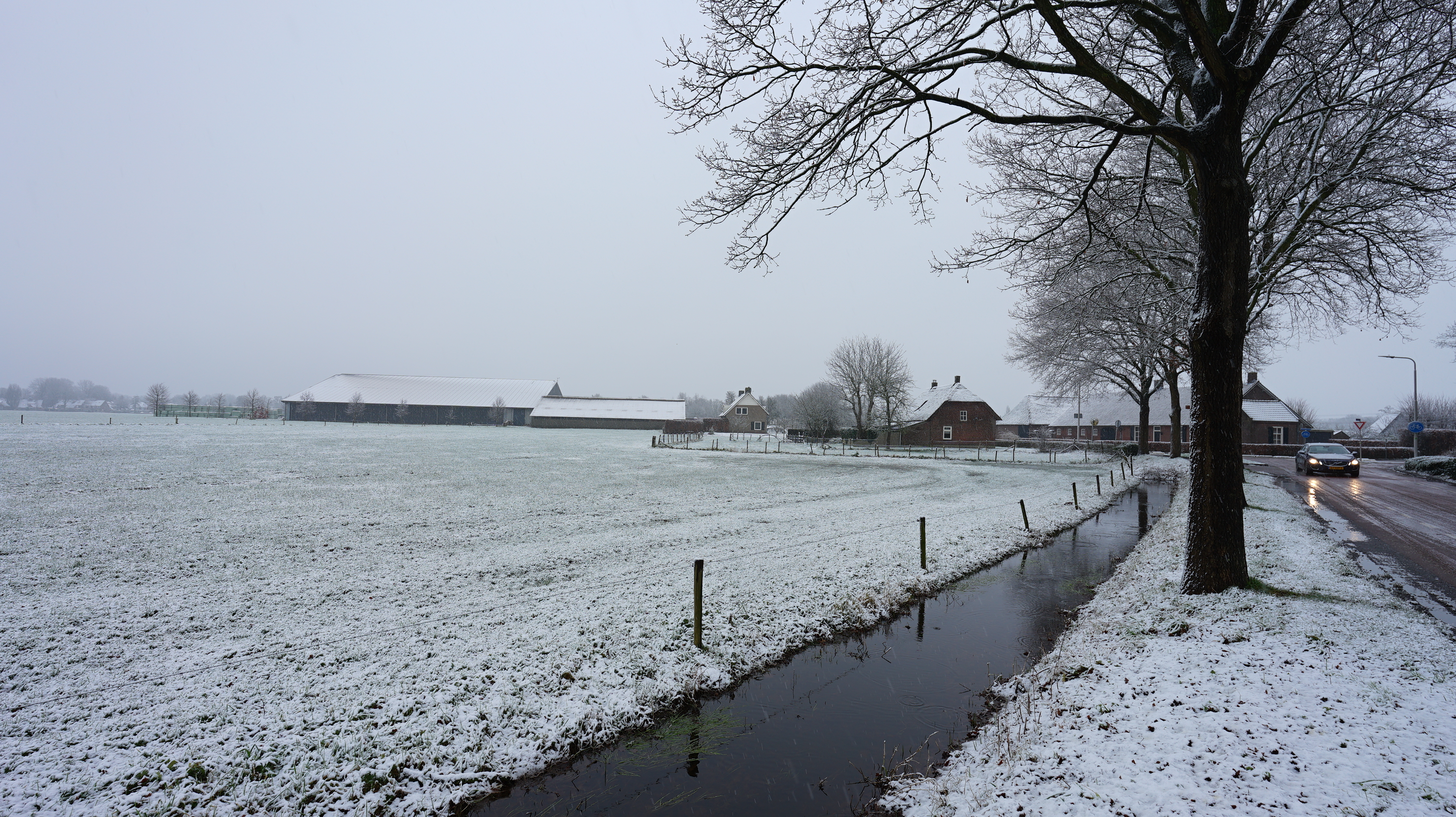 Deze week kan regionaal (smeltende) sneeuw vallen. Of het ook echt wit wordt is nog even afwachten. Foto: Toon Boons