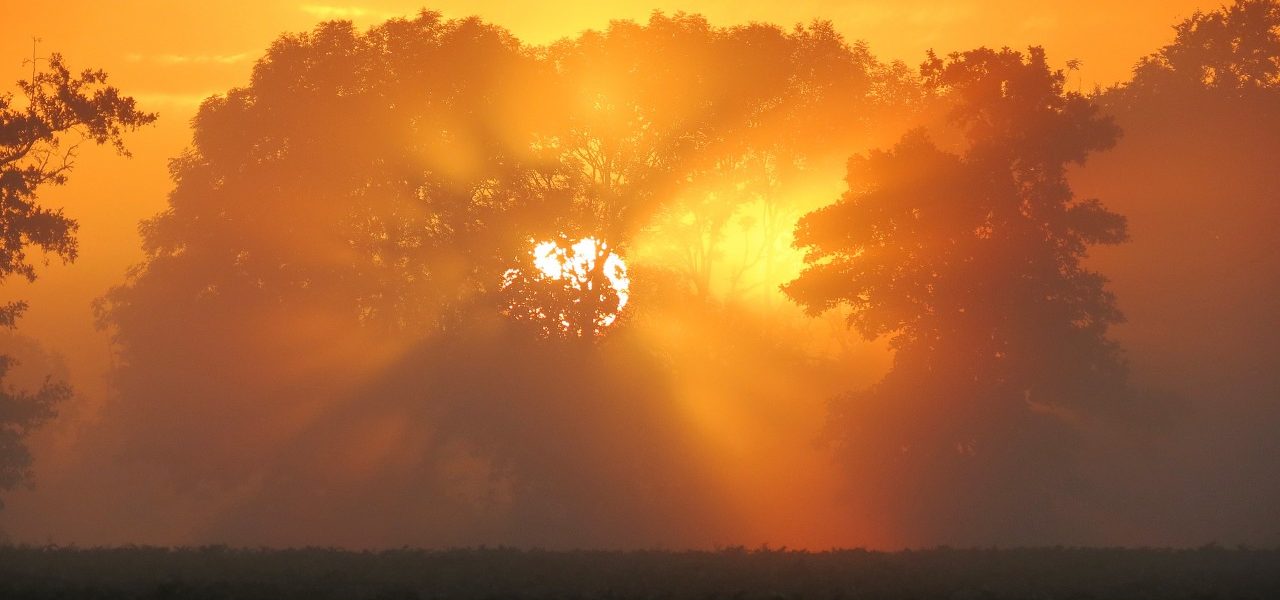 Zeer-warme-nacht-1280x600
