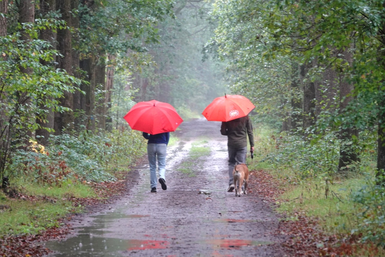 Droogte nog lang niet voorbij