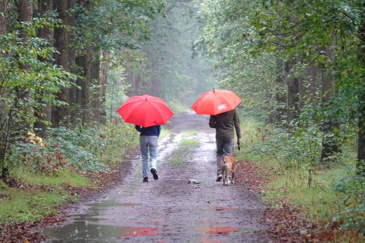 Het is de laatste weken vaak nat. Foto: Marlies Veugelers