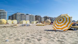 Dit wordt het weer met Pinksteren