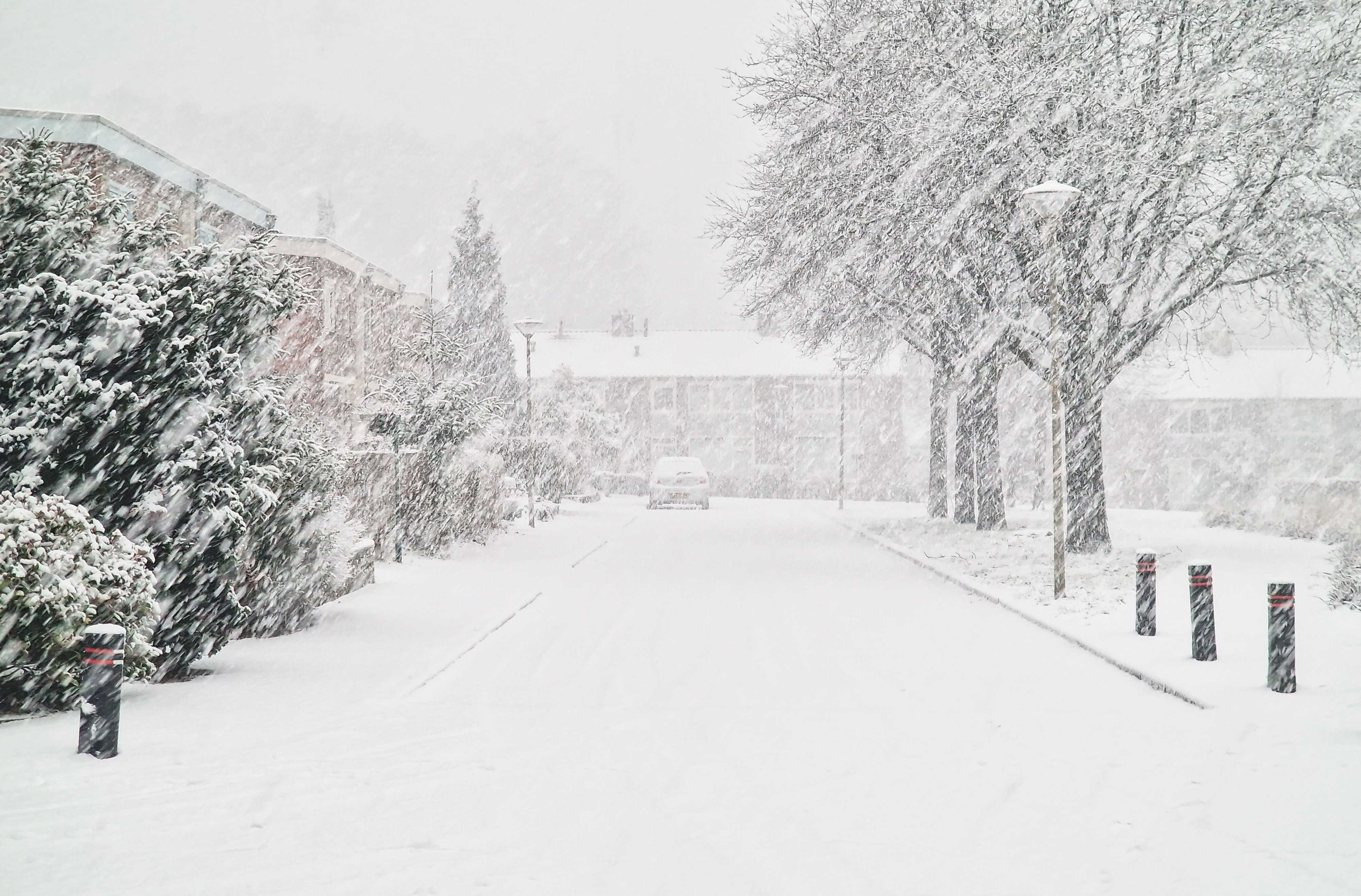 Witte woonwijk. Foto: Wouter van Bernebeek.