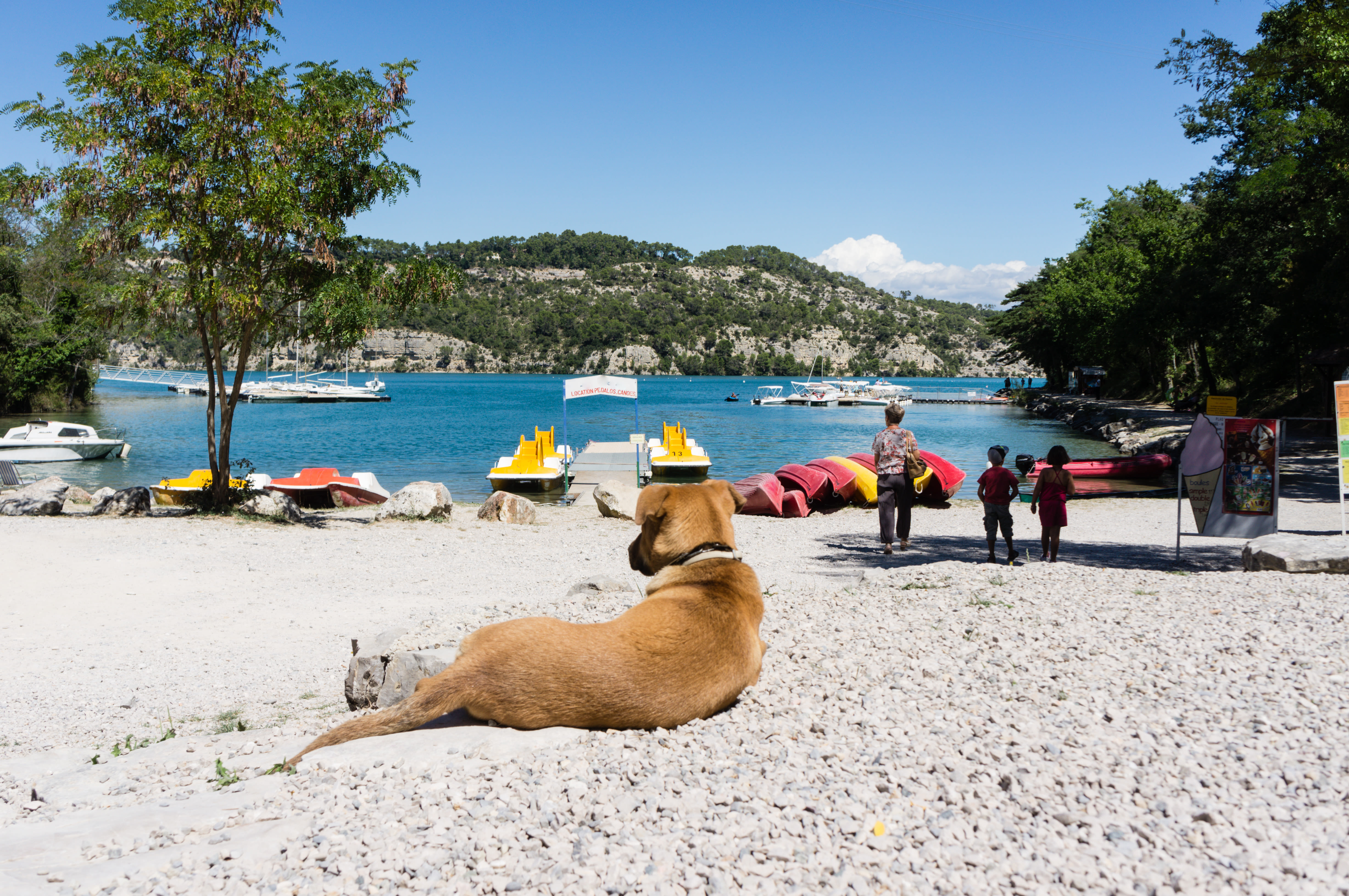 Het wordt weer tropisch warm in Zuid-Frankrijk. Foto: AdobeStock / henryopzolder.