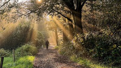 Hier moet je rekening mee houden tijdens wandelen in de herfst