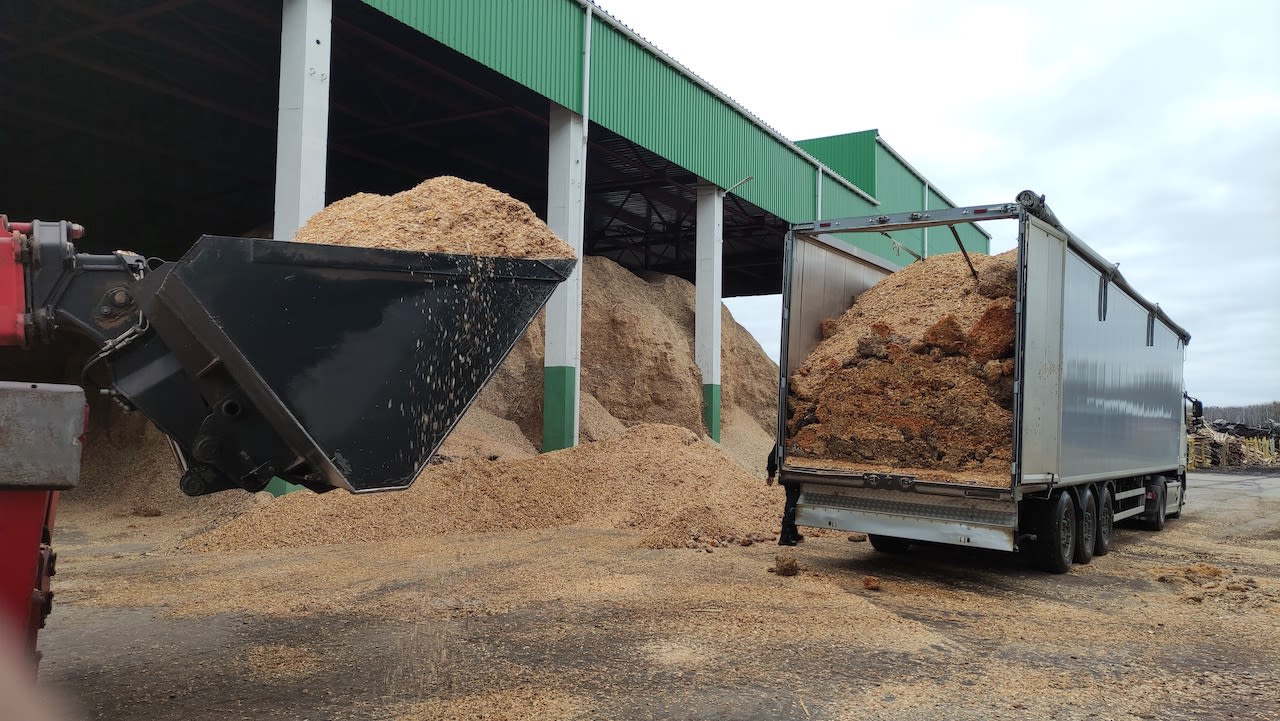 De verwerking van biomassa zorgt ook voor uitstoot van broeikasgassen. Foto: AdobeStock / Алексей Бондаренко
