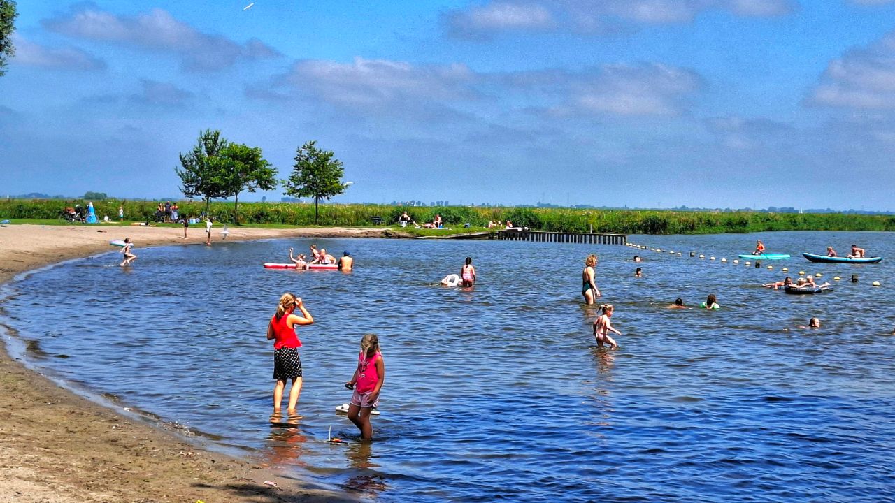 Het is deze week heerlijk weer voor een duik in het water! Foto: Jos Hendriks