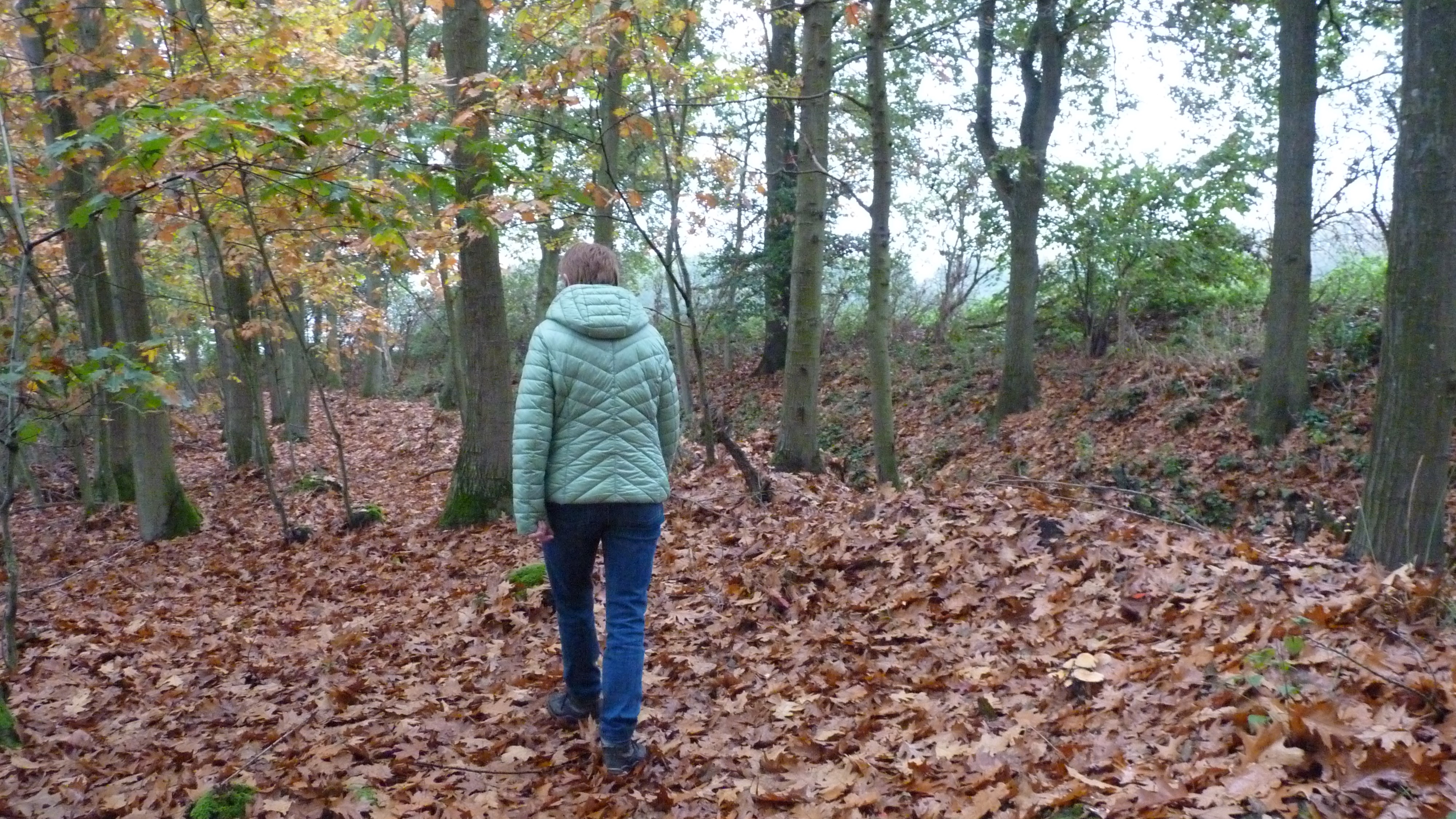 Het is heerlijk wandelweer in de verkleurende bossen met een dik bladerentapijt. Foto: Roos Vaessen