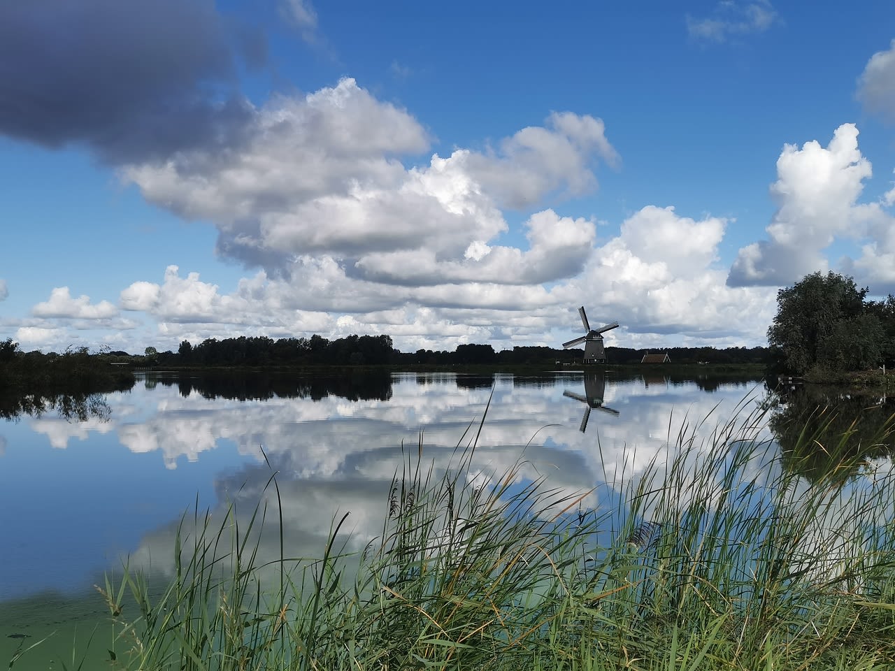 Het Twiske bij Landsmeer. Foto: Pascale van Doorn