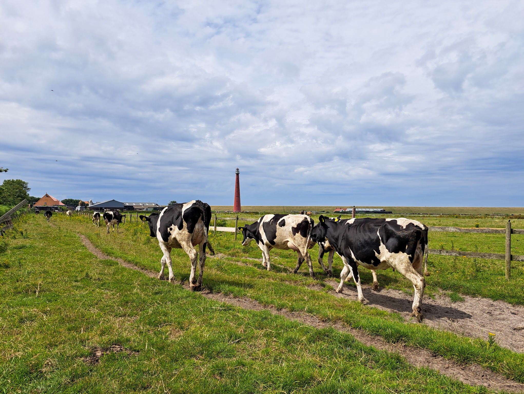 Komende dagen is er een mix van zon, wolken en enkele buien. Foto: Nel van Es