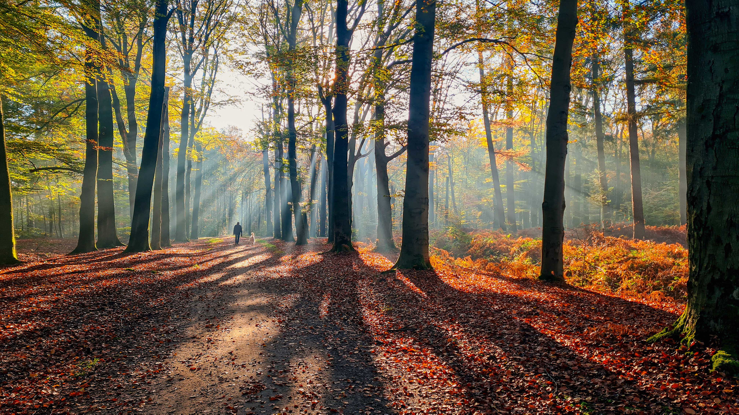 Dit was de zonnigste herfst ooit