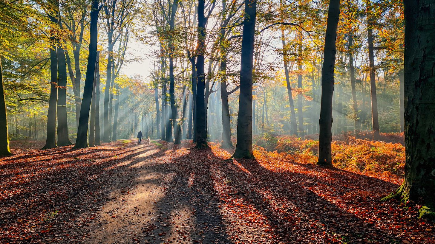 Genieten van de natuur in het herfstzonnetje. Foto: Burry van den Brink.