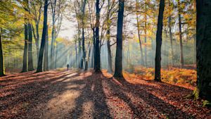 Dit was de zonnigste herfst ooit