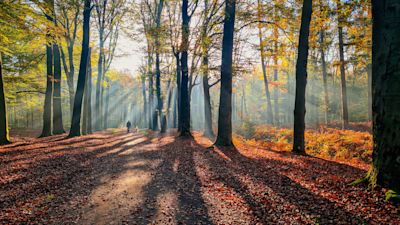 Dit was de zonnigste herfst ooit