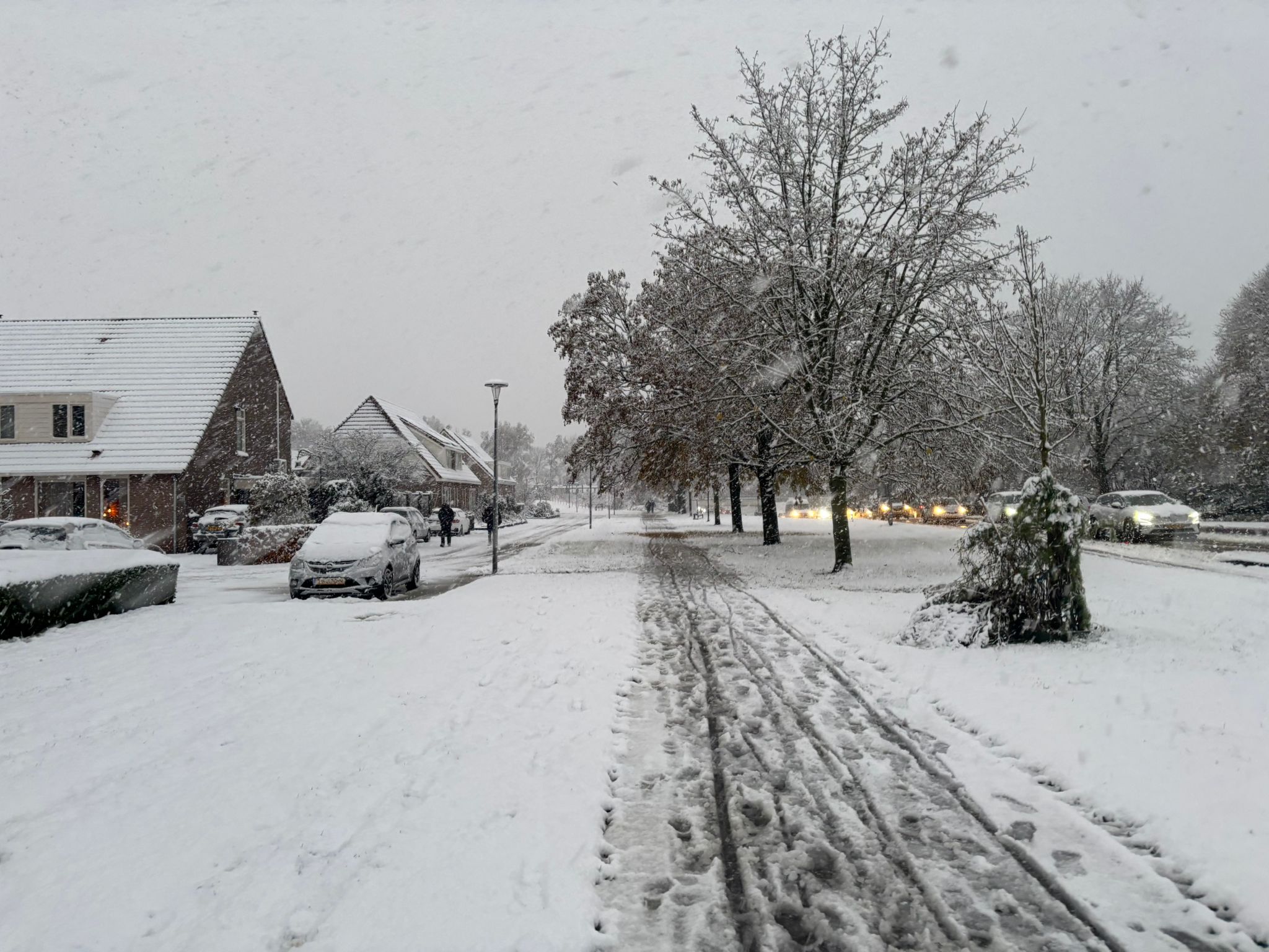 Flinke sneeuwval in het noorden van het land. Foto: Fabienne Lafeber. 