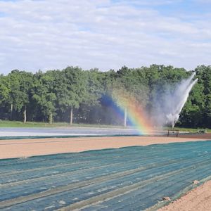Droogte neemt weer toe door heet en zonnig zomerweer
