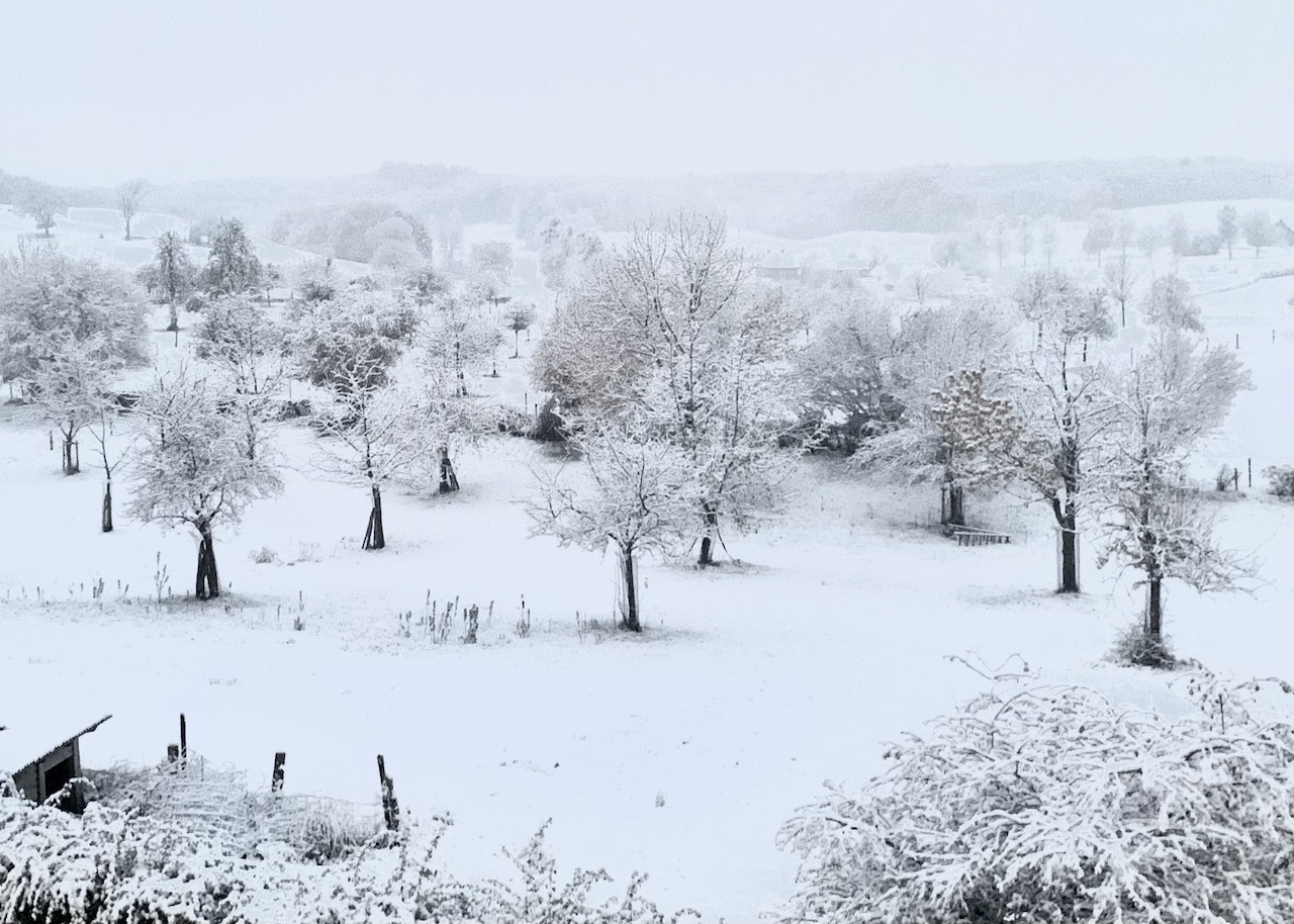 Een wit landschap in de Limburgse heuvels op 5 december 2022. Foto: Mario Brussé