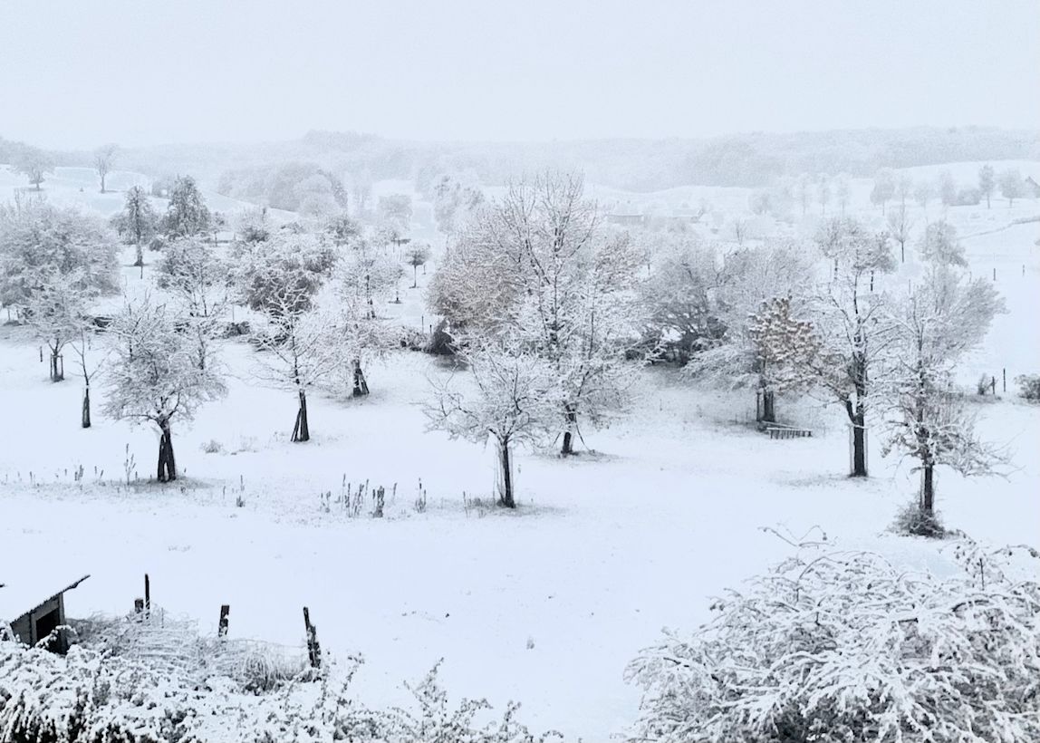 Een wit landschap in de Limburgse heuvels op 5 december 2022. Foto: Mario Brussé