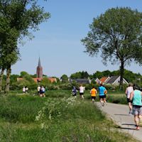 Hittestress bij hardlopers