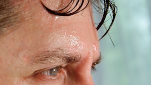 Alles wat je (niet) wilt weten over zweet