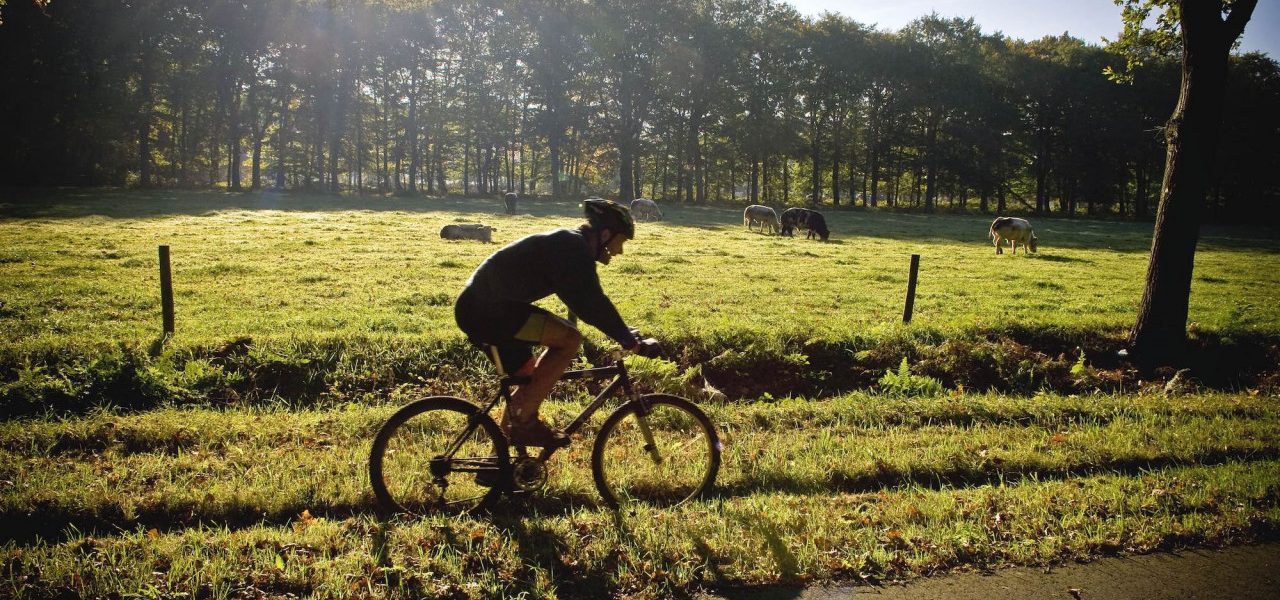 Seizoensverwachting: dit wordt het weer in de herfst