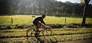 Seizoensverwachting: dit wordt het weer in de herfst