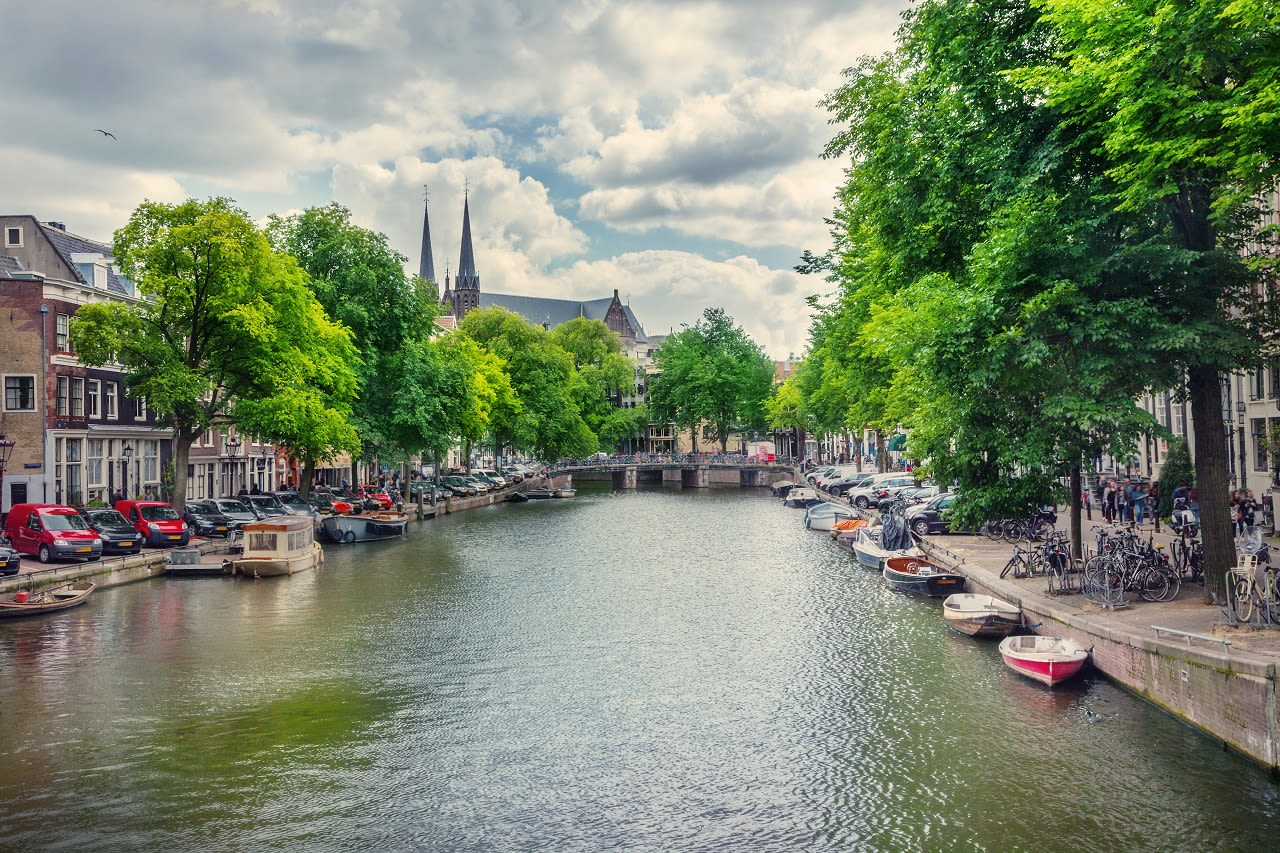 Bomen in Amsterdam. Foto: Adobe Stock / Door adisa
