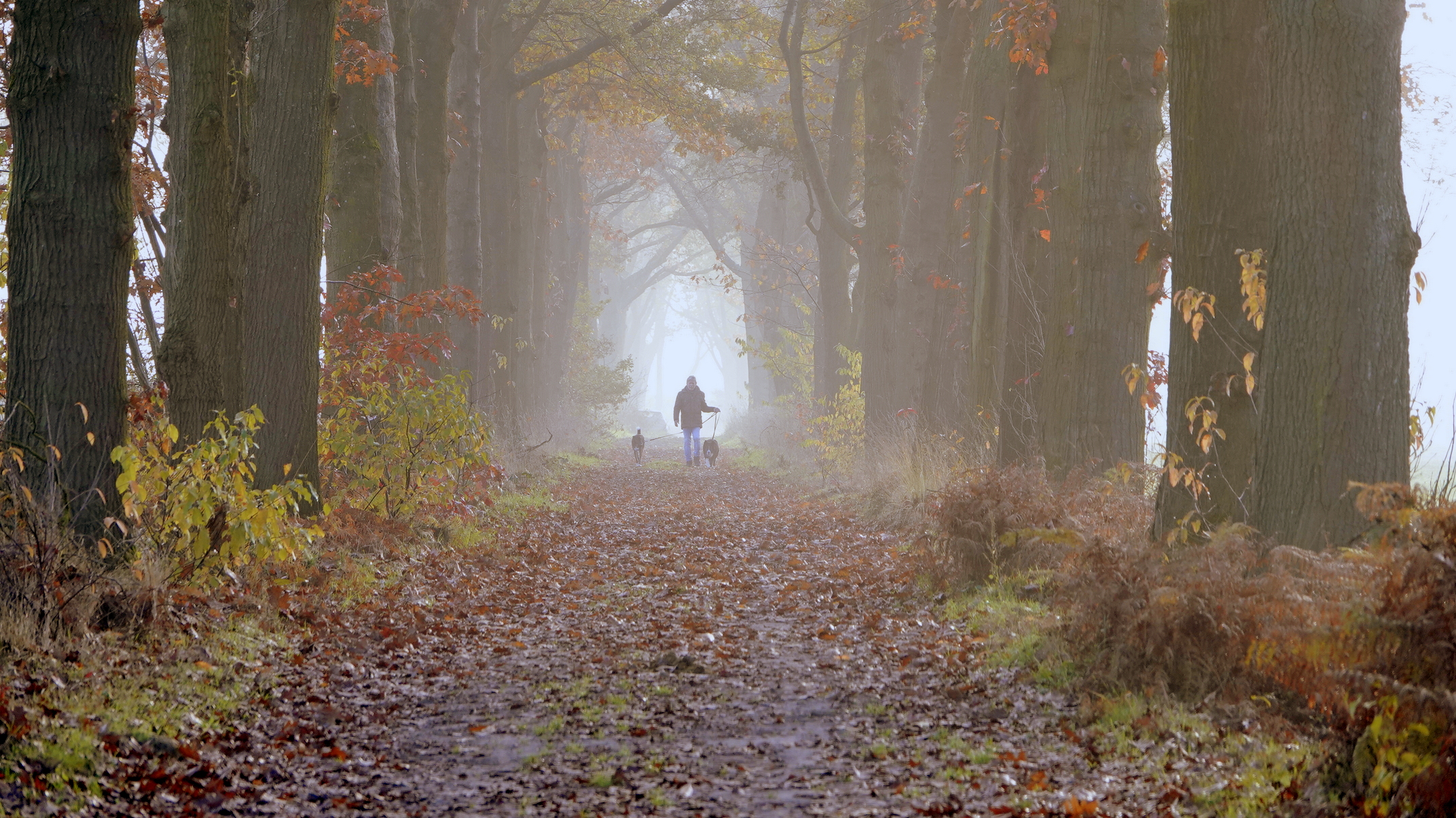 Het is opnieuw een rustige novemberweek. Foto: Ben Saanen