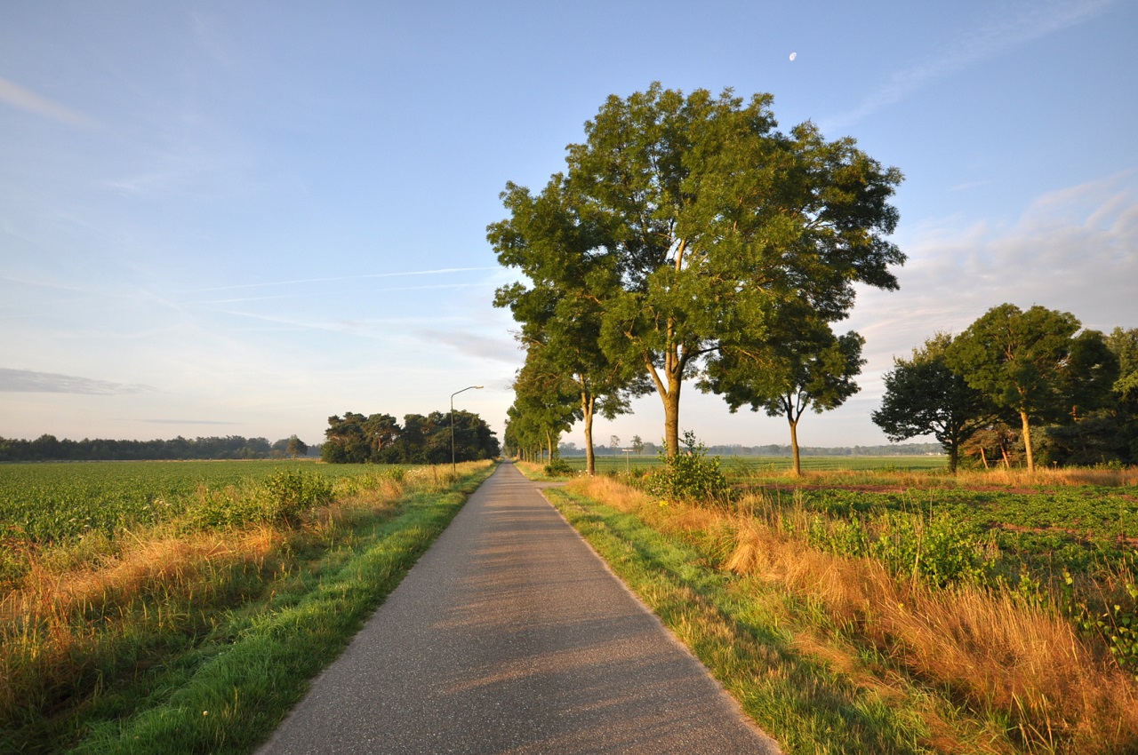 Het is een wisselend slotweekend van juli. Foto: Ben Saanen