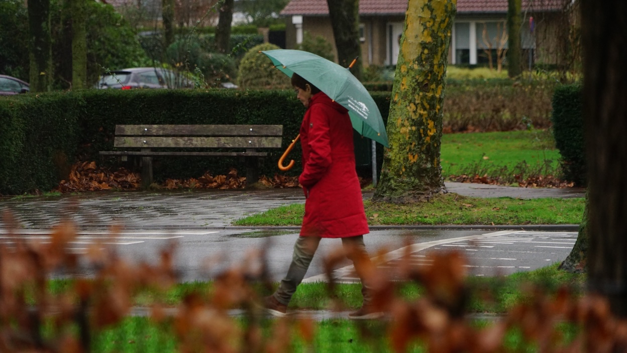 De paraplu komt zondag weer goed van pas. Foto: Toon Boons