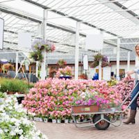 Wat is de beste tijd om zomerplanten te planten?