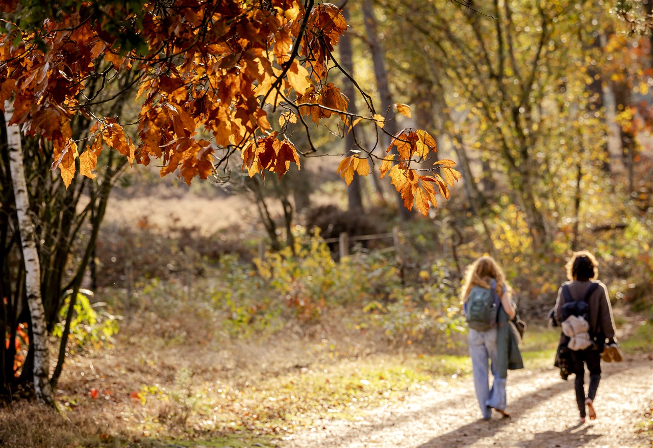 Het zachte herfstweer is positief voor de energierekening. Foto: ANP/Robin van Lonkhuijsen

