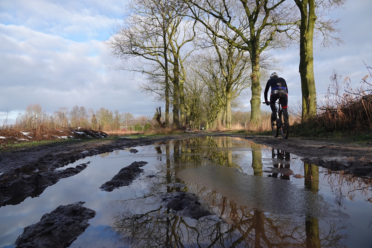 De winter tot dusver was nat, somber met soms vorst. Foto: Marlies Veugelers
